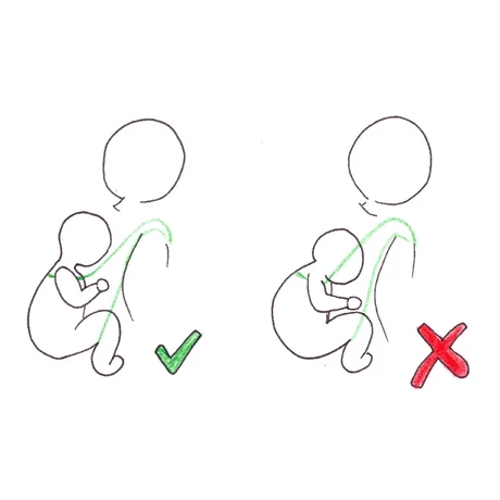Kap levegőt a baba a hordozóban? 
