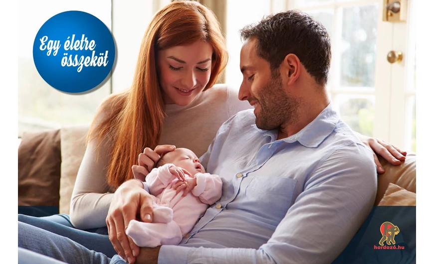 Alvásszakértő? – Hát, ammegmi?! Honnan szedjük mindazt, amit mondunk?